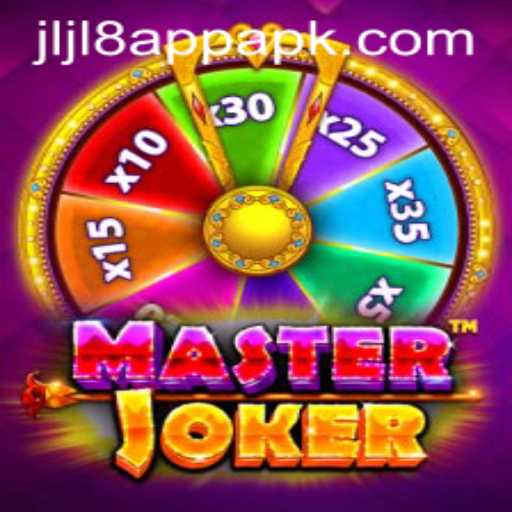 Discovering MasterJoker: Game Description and Key Insights